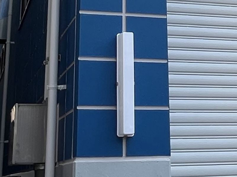 �Ɩ���������